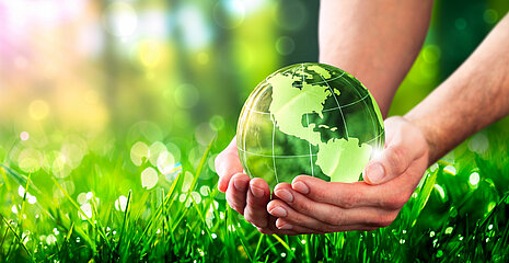 Hands holding a glass globe in green environment with sunlight.  